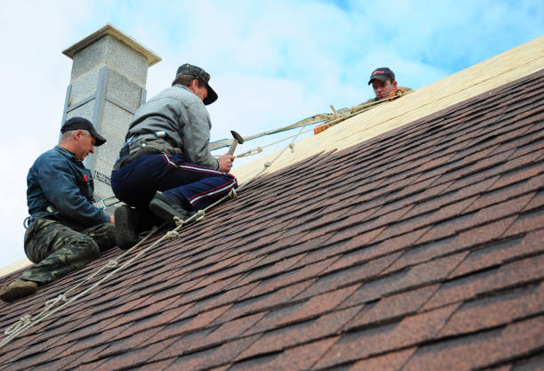 Quick and Trustworthy Emergency Roof Repair Services in West Newton, PA